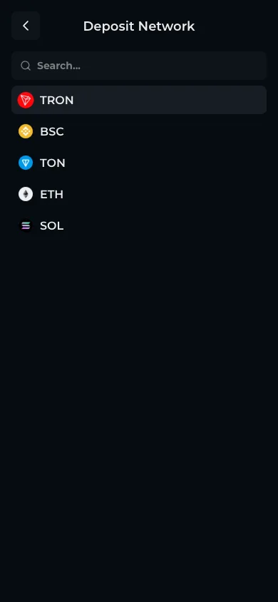 USDT network options at 1st.game: TRON, BSC, TON, ETH and SOL